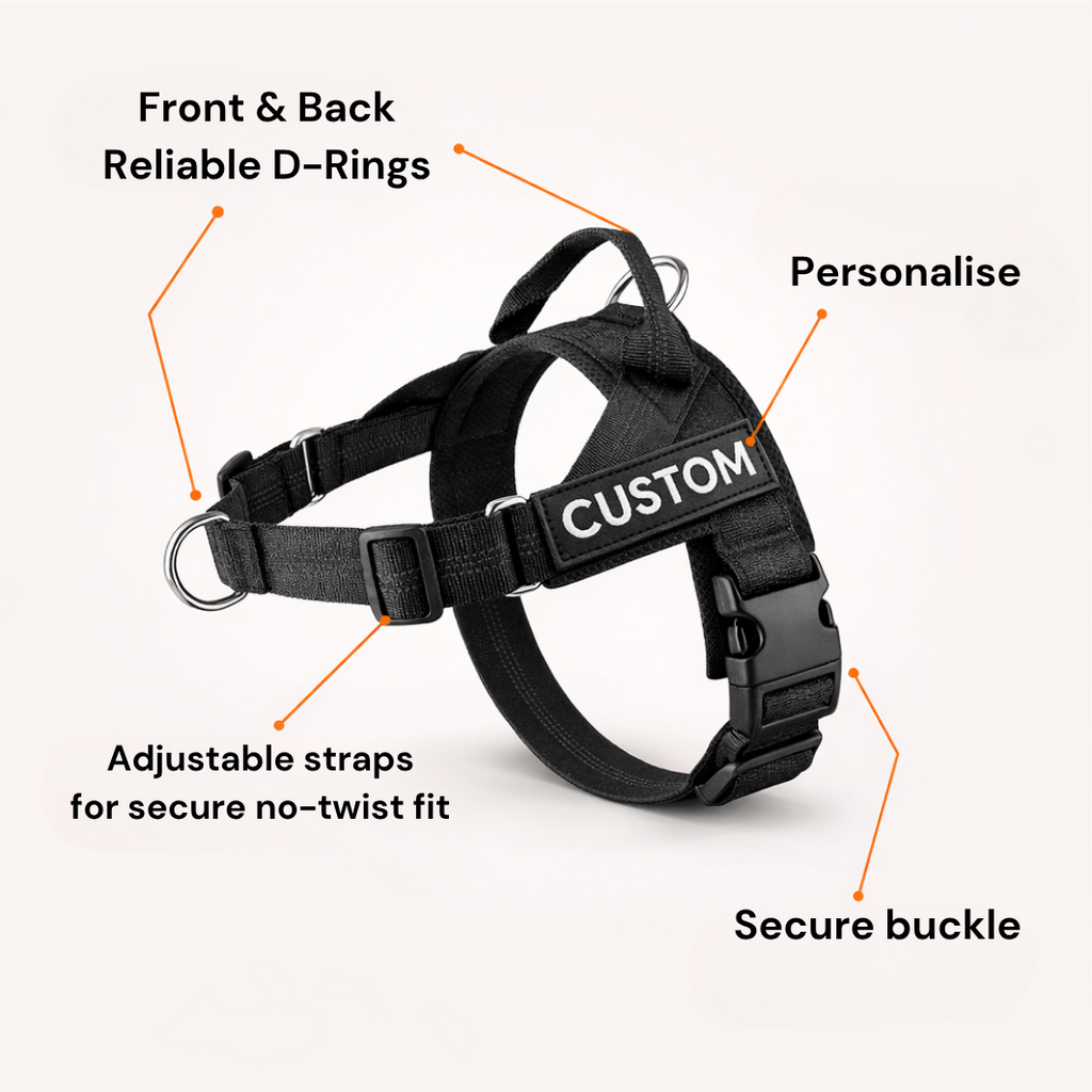 ParoPet No Pull Dog Harness