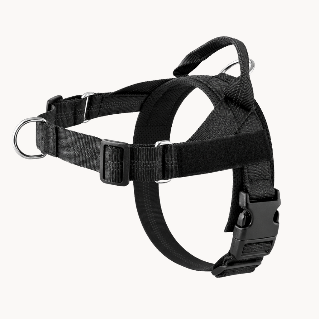 ParoPet No Pull Dog Harness