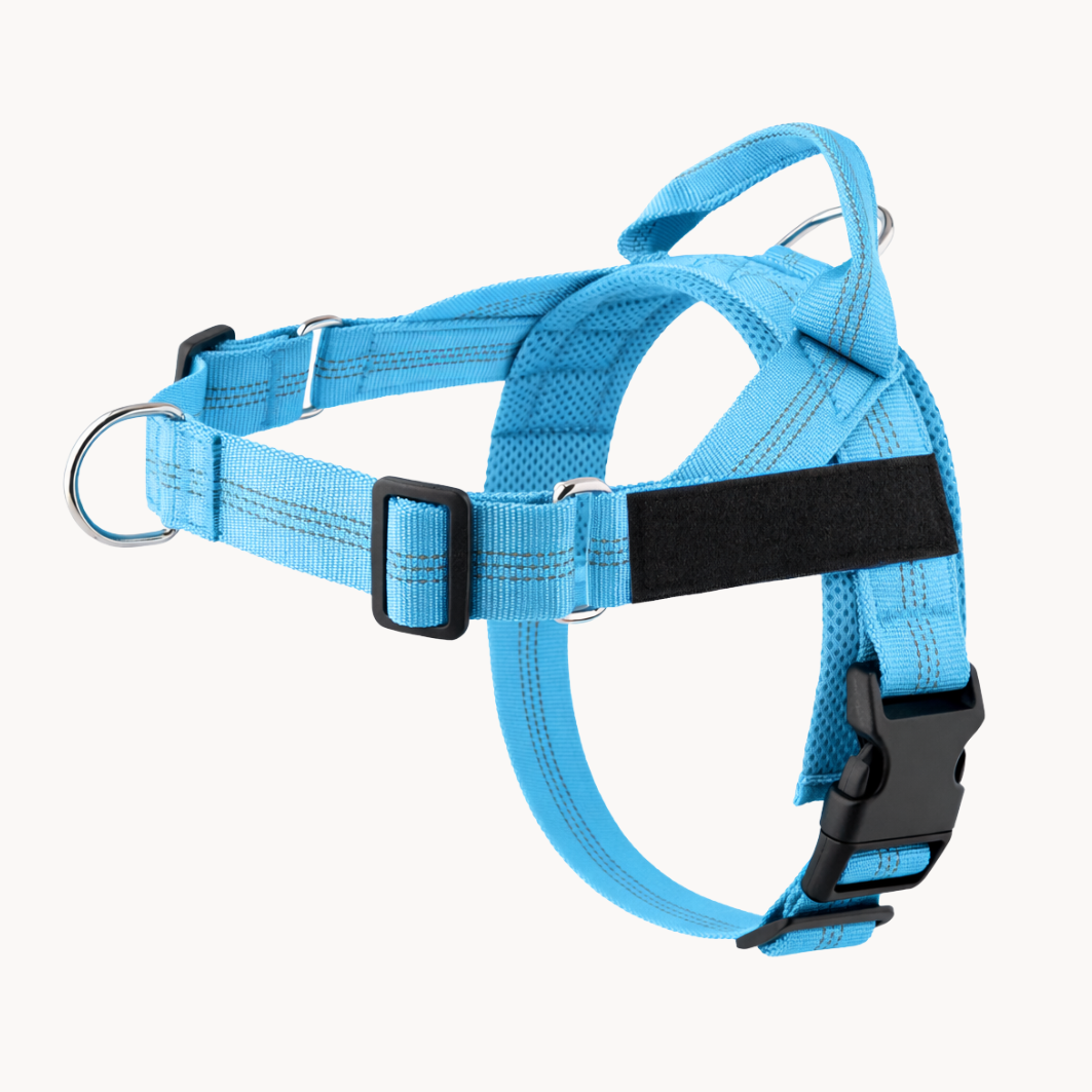 ParoPet No Pull Dog Harness