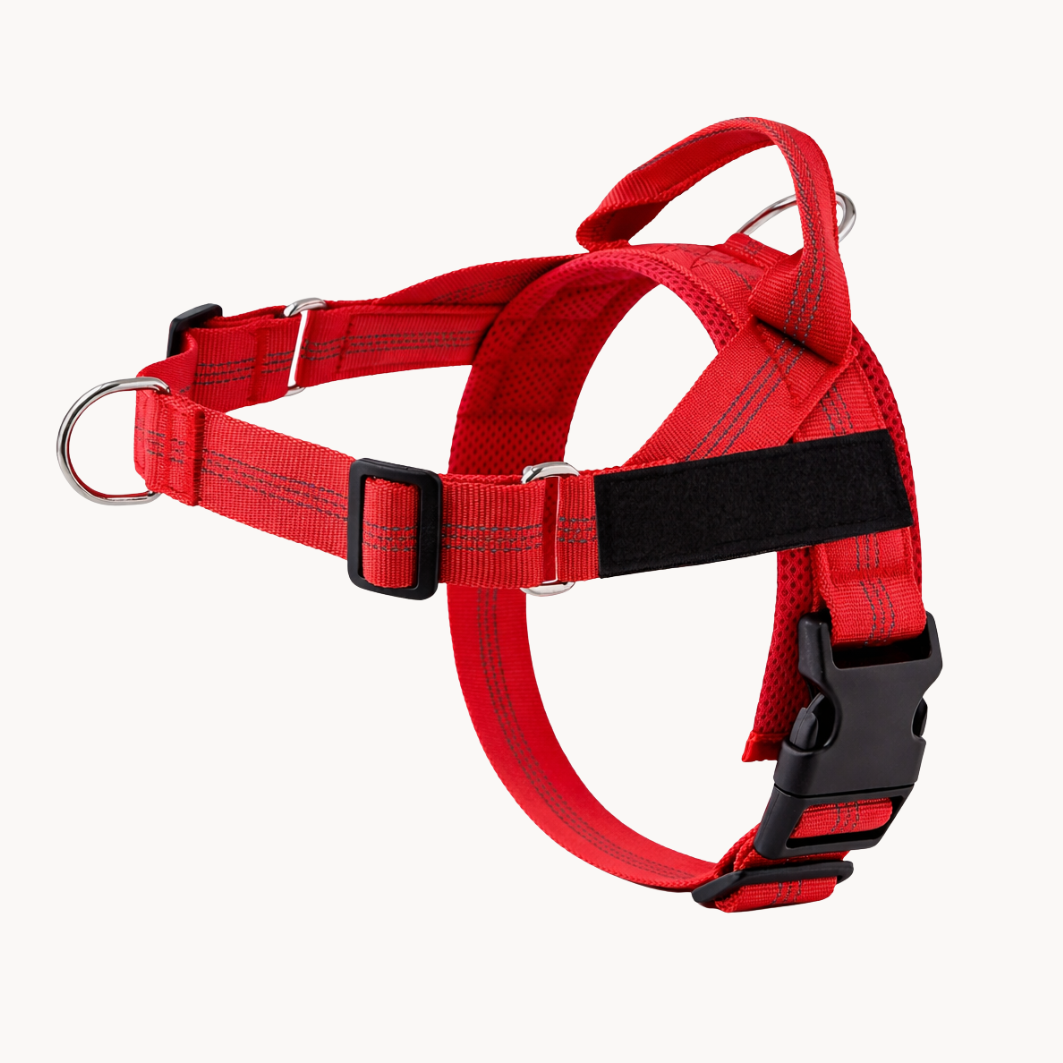 ParoPet No Pull Dog Harness