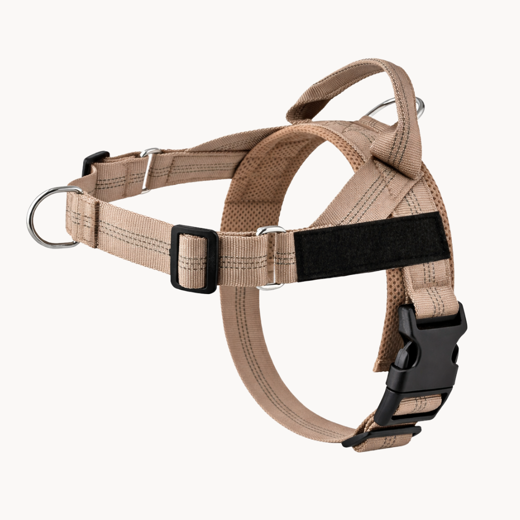 ParoPet No Pull Dog Harness