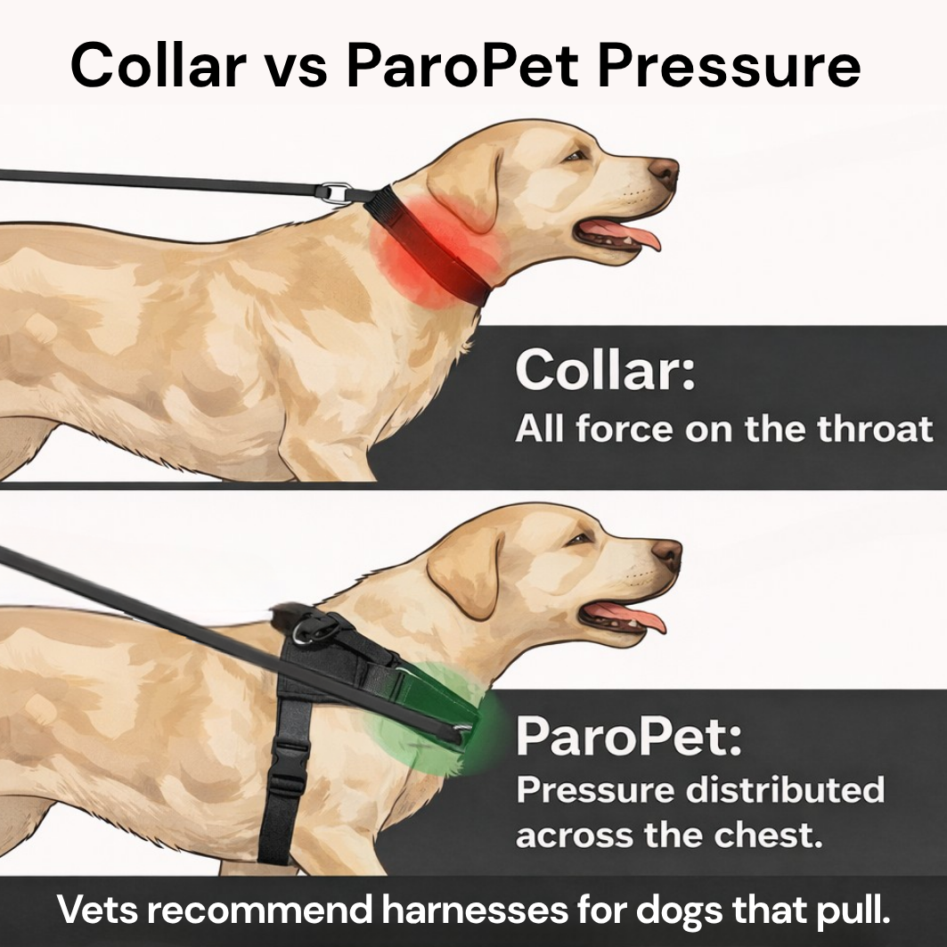 ParoPet No Pull Dog Harness
