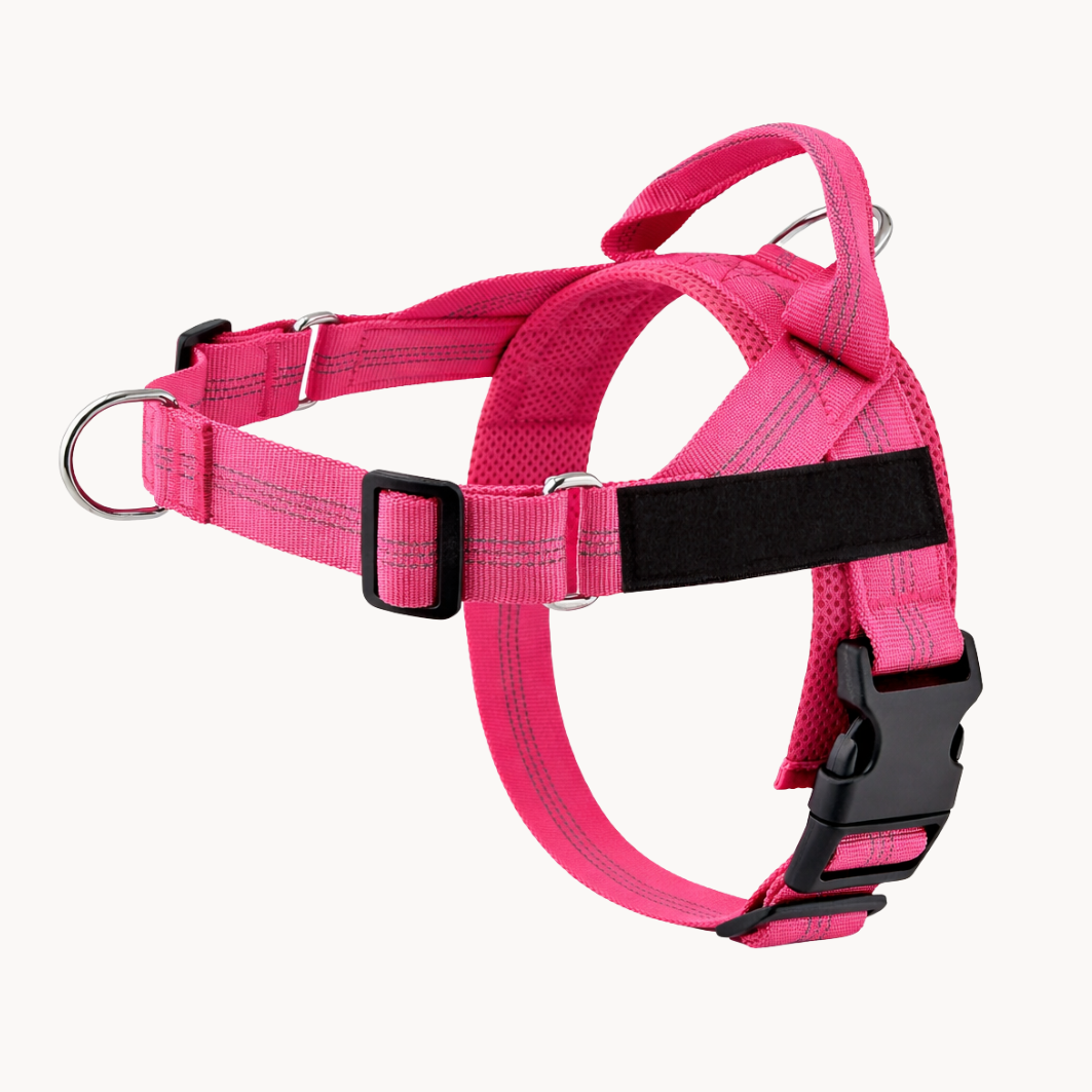 ParoPet No Pull Dog Harness