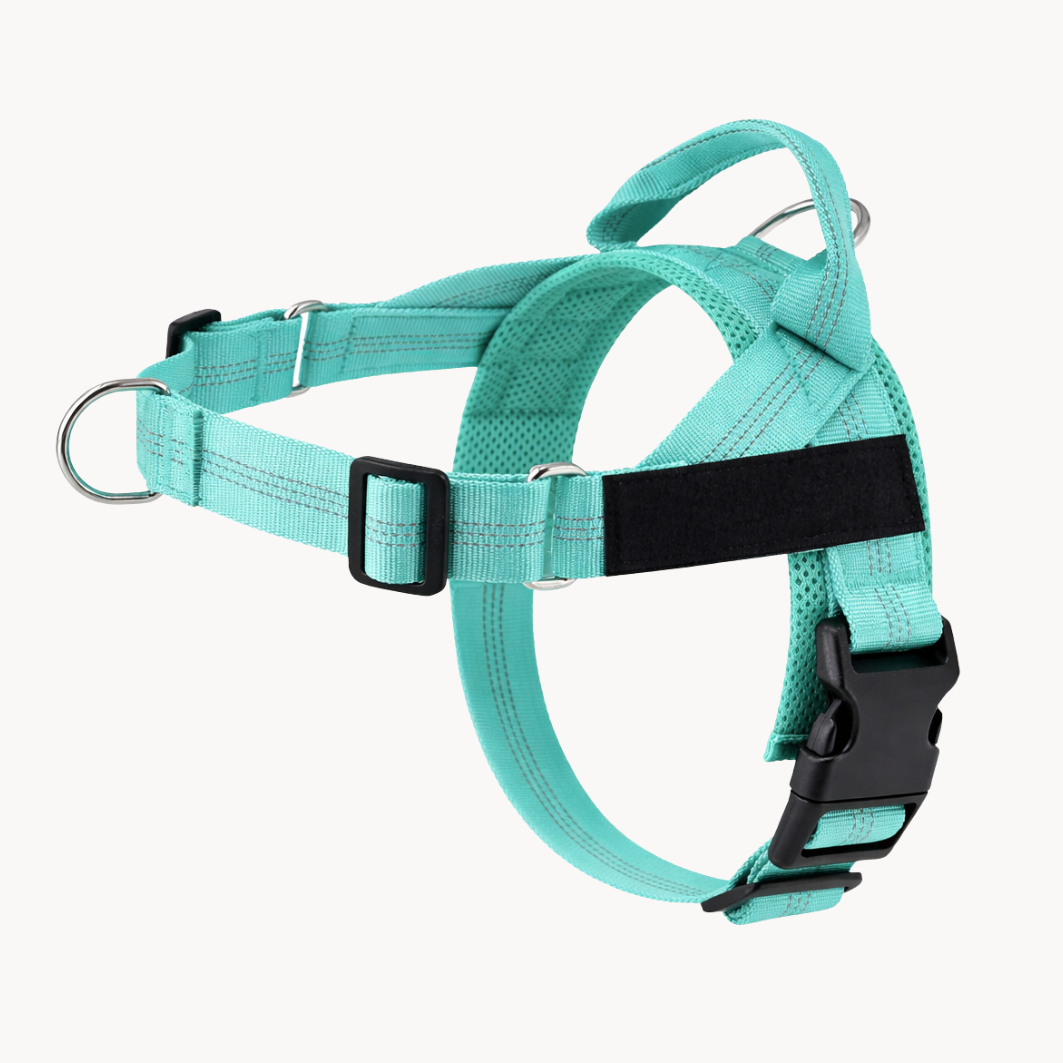 ParoPet No Pull Dog Harness