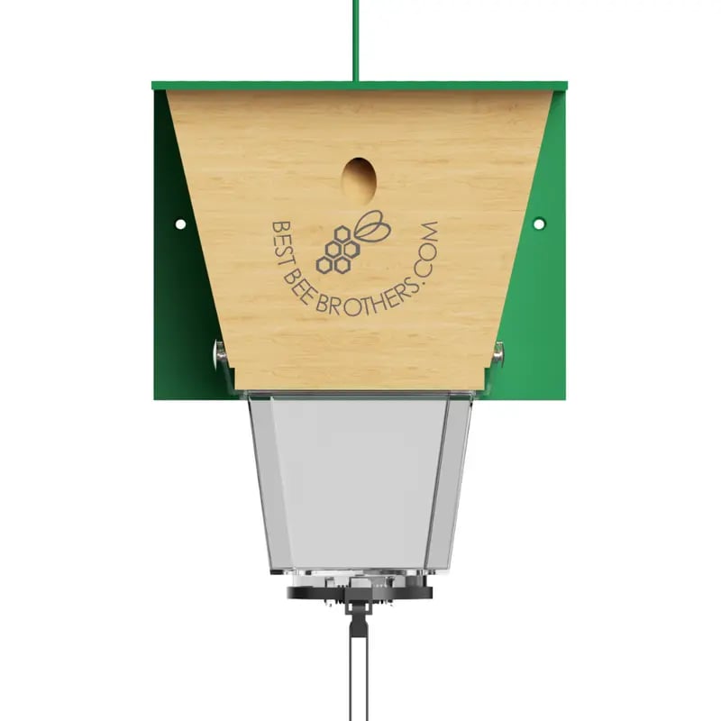 🐝 Ultimate Pro Carpenter Bee Trap – 2-in-1 Protection