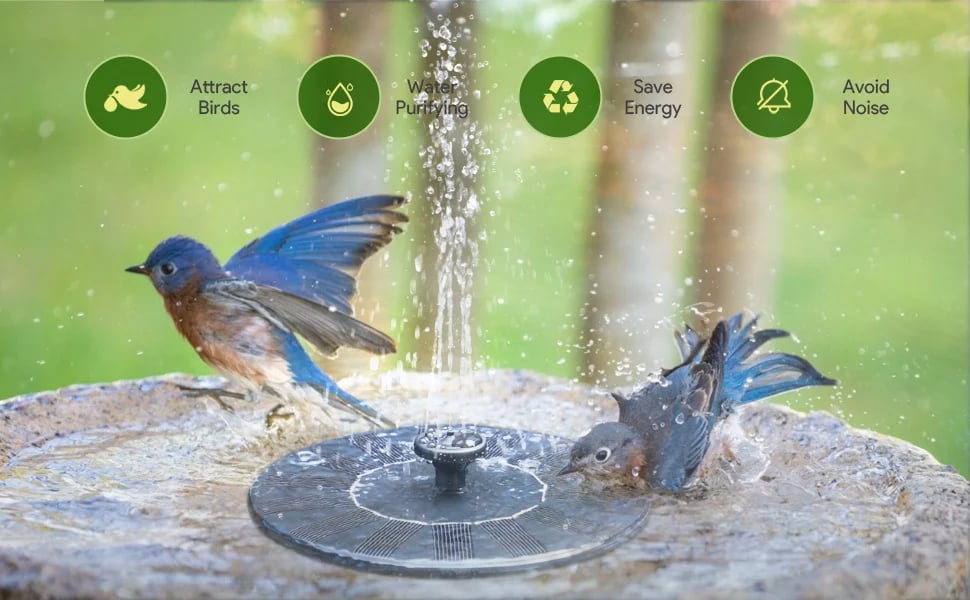 HOT SALE🔥Solar-Powered Bird Fountain Kit