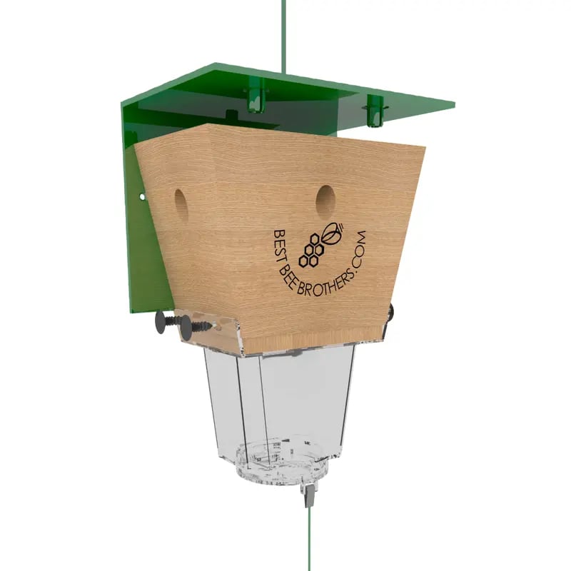 🐝 Ultimate Pro Carpenter Bee Trap – 2-in-1 Protection