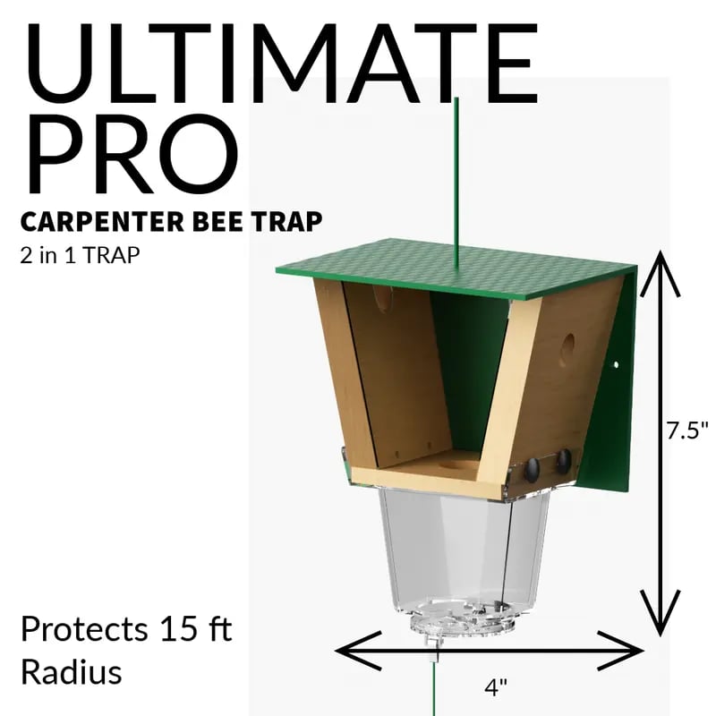 🐝 Ultimate Pro Carpenter Bee Trap – 2-in-1 Protection