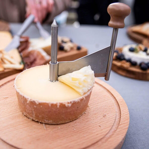 Cheese Curler Wheel - Stainless Steel Cheese Shaver