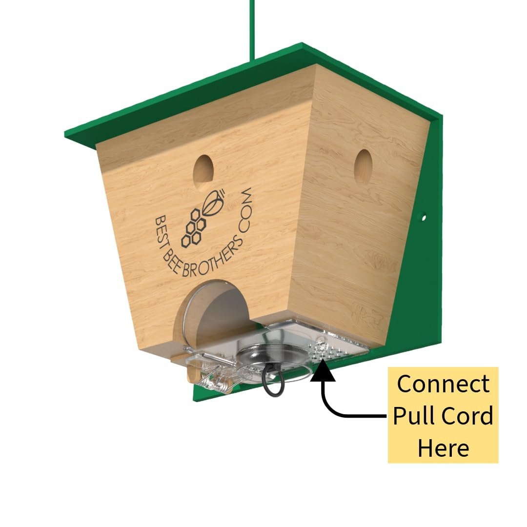 🐝 Ultimate Pro Carpenter Bee Trap – 2-in-1 Protection