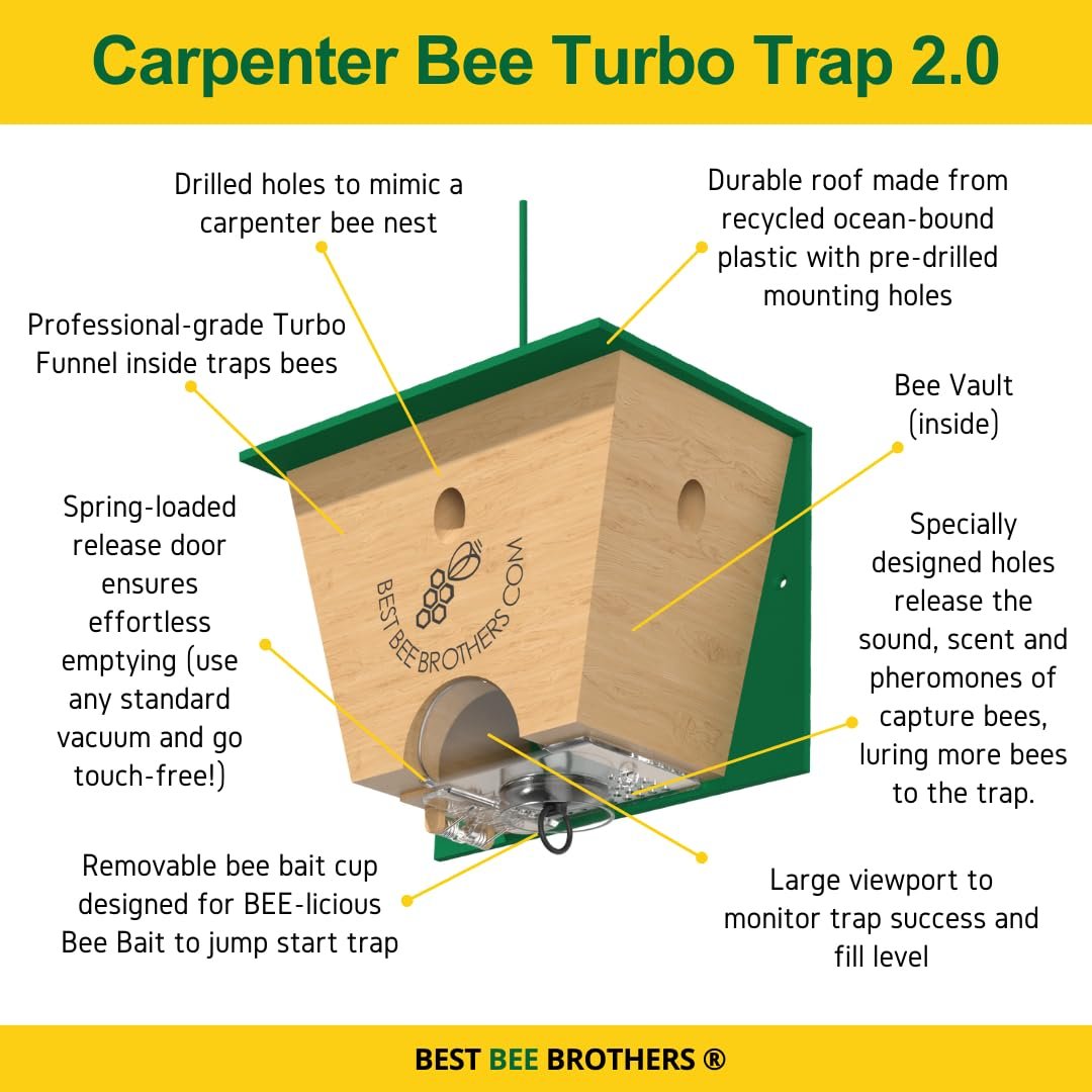 🐝 Ultimate Pro Carpenter Bee Trap – 2-in-1 Protection