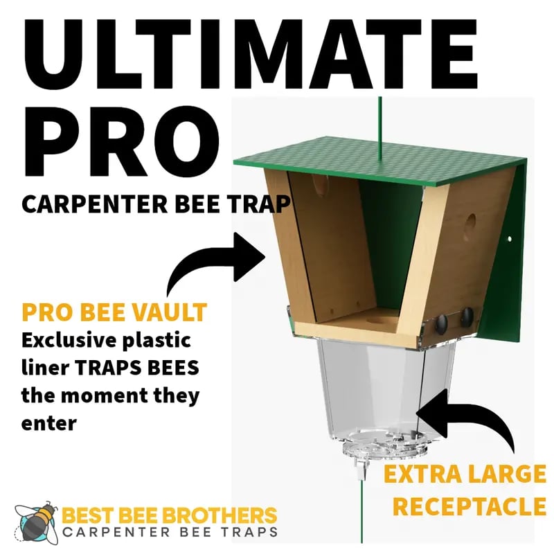 🐝 Ultimate Pro Carpenter Bee Trap – 2-in-1 Protection
