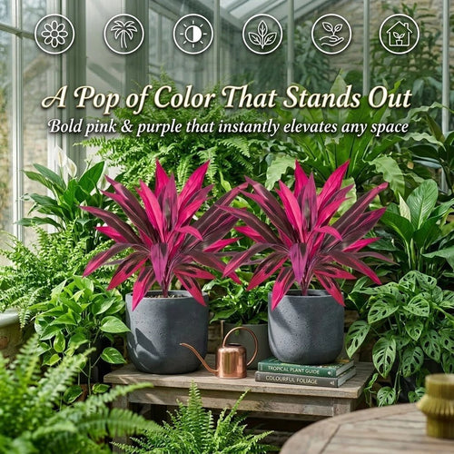 2Pcs Large Artificial Boston Fern & Dragon’s Blood Tree Plants | Vibrant Pink Purple Faux Plants for Garden Patio Balcony Decor 🌼