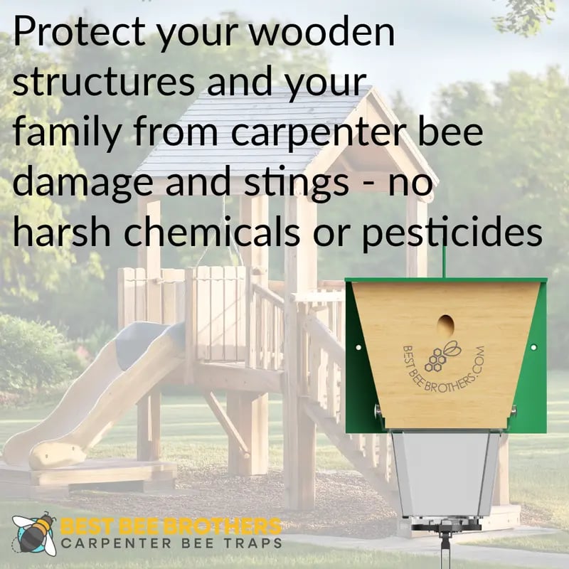 🐝 Ultimate Pro Carpenter Bee Trap – 2-in-1 Protection
