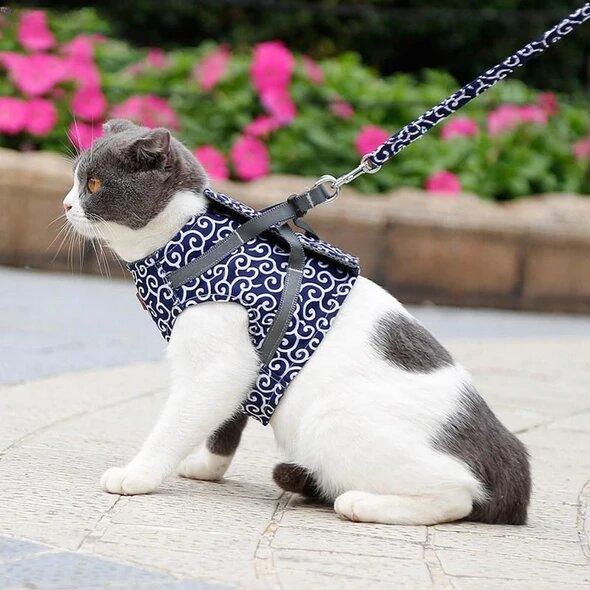 🔥Cat Dogs Vest Harness and Leash Anti-break Away Chest Strap Cat Clothes
