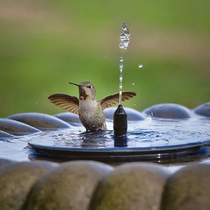 💧60% OFF NOW! ☀️ Solar Fountain Bird Bath Pump – 1.4W Solar Panel, 4 Nozzles & Submersible for Pond, Garden & Pool 🐦